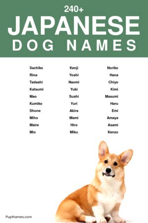 dog names japanese male|japanese name for female dog.